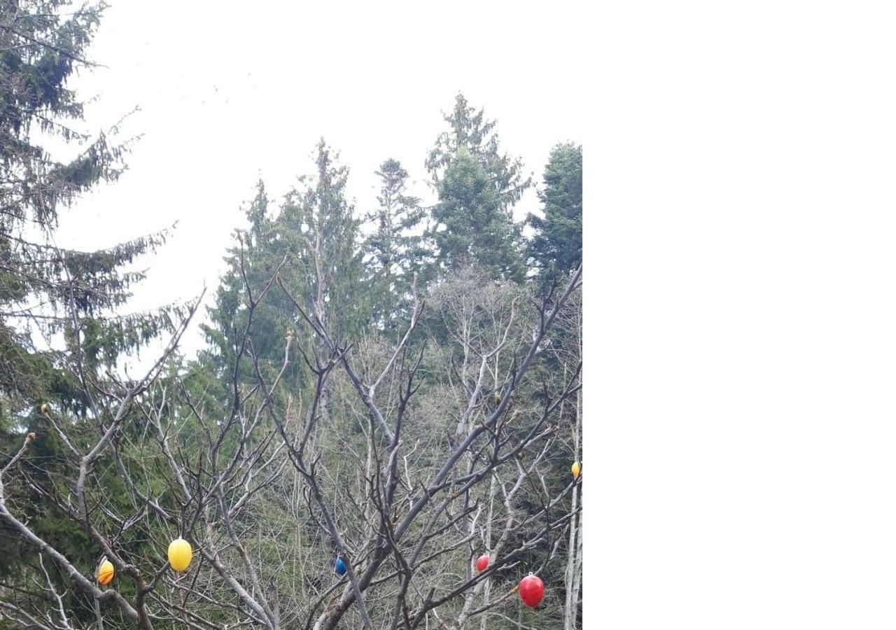 Pensiunea Anotimpuri Predeal Exteriér fotografie